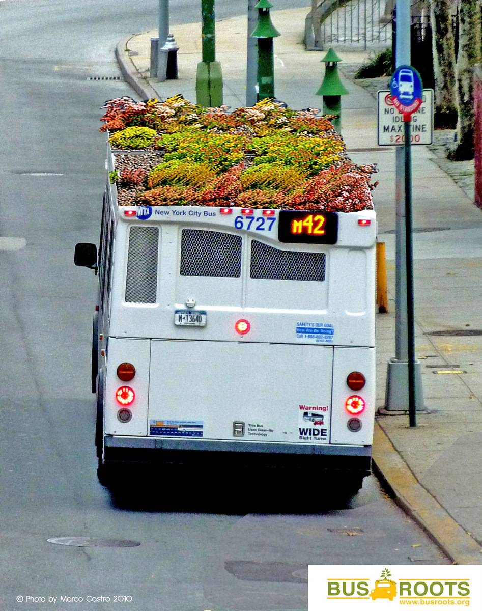 Bus Roots, el autobús con techo para cultivar alimentos y plantas, Marco Castro Cosio, Nueva York, 