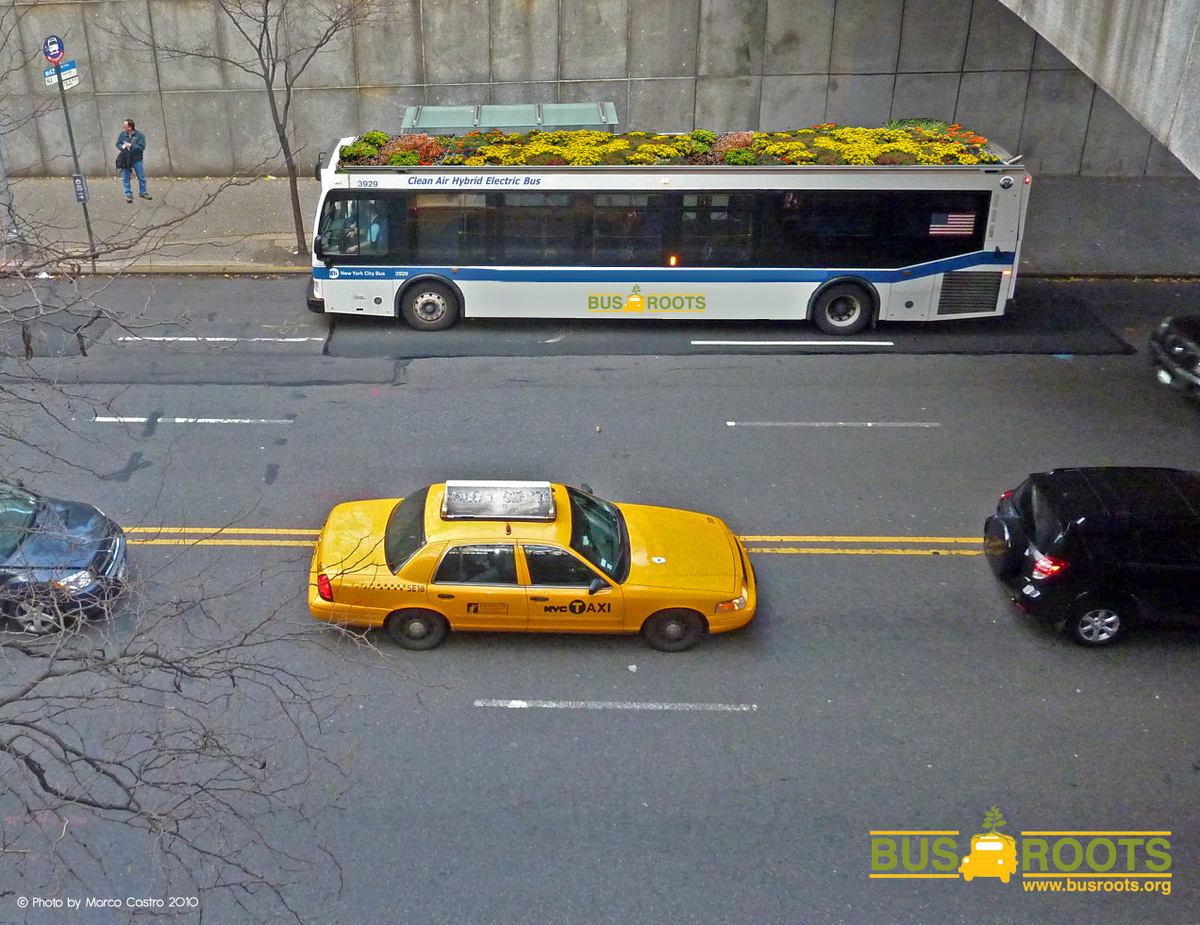 Bus Roots, el autobús con techo para cultivar alimentos y plantas, Marco Castro Cosio, Nueva York, 