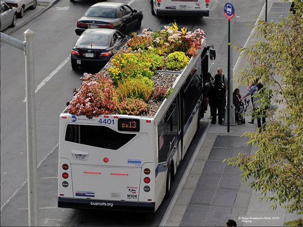 Bus Roots, el autobús con techo para cultivar alimentos y plantas, Marco Castro Cosio, Nueva York,