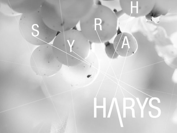 Harys, packaging, Iglöo Creativo, 2016