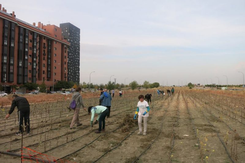 Basurama, intervención vecinal en la Gran Vía del Sureste, Ensanche de Vallecas