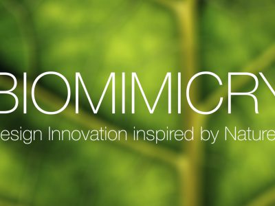 1º edición concurso Biomimicry, 2016.