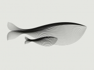 Animals in Moiré, las ilustraciones de Andrea Minini | Experimenta