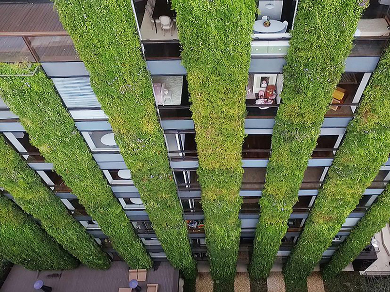 Ignacio Solano crea el jardín vertical más grande del mundo en Bogotá