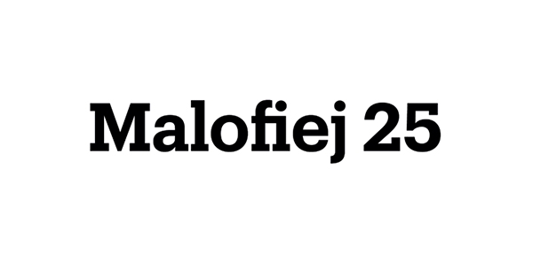 Cumbre mundial de infografía: Malofiej 25, Pamplona