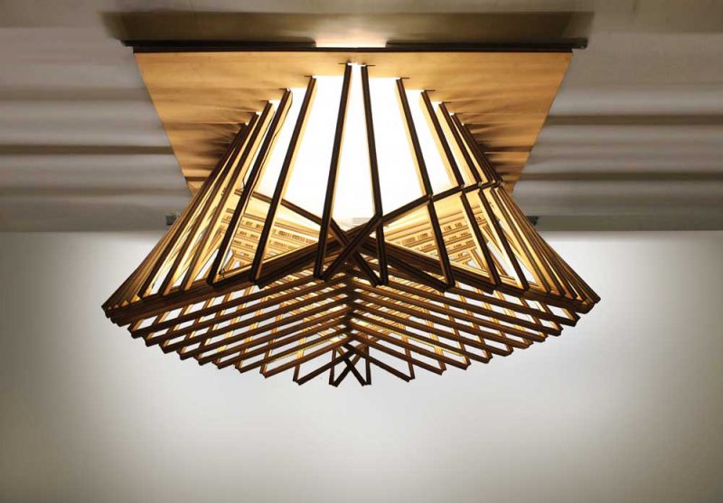 Rising Light Fixture, de Robert van Embricqs