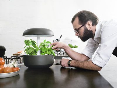 Plantui, un cultivo inteligente y casero