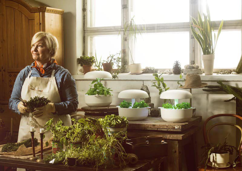 Plantui, un cultivo inteligente y casero