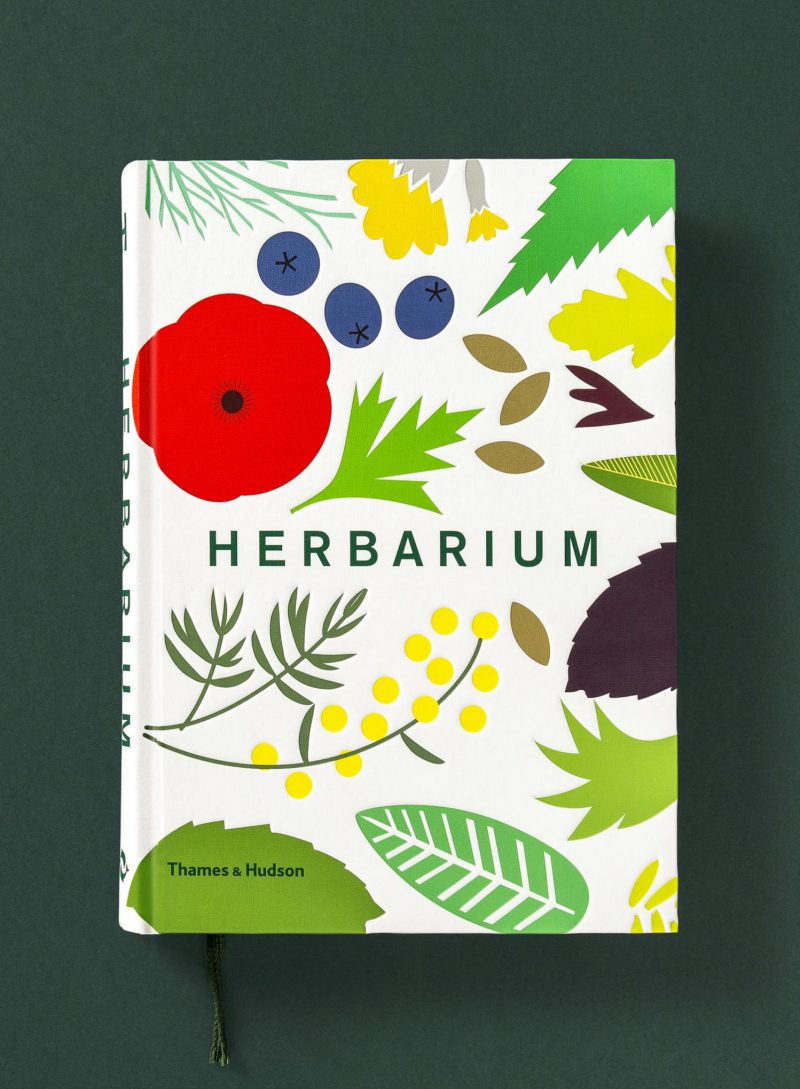 Herbario, un homenaje al mundo de las hierbas de estudio Here
