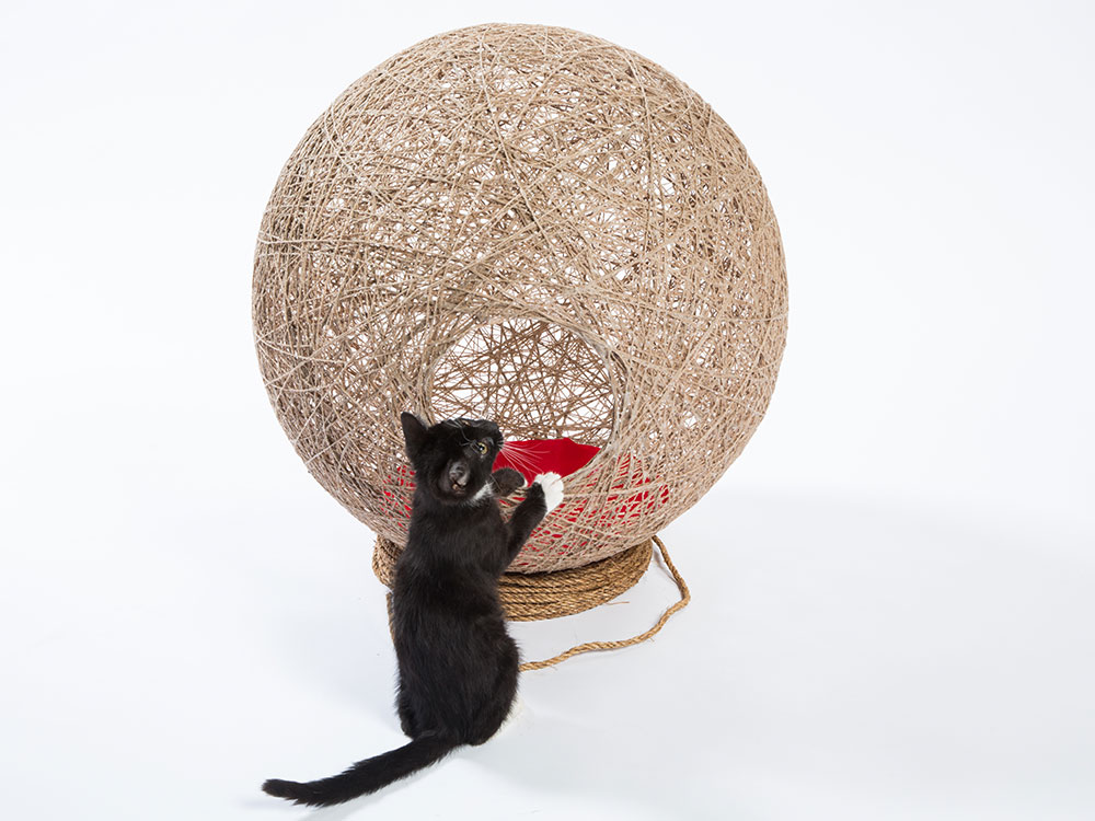 ‘Guiving Shelter’ de Architects for Animals. Ball of Twine, de Abramson Teiger Architects. Fotografía: Meghan Bob.