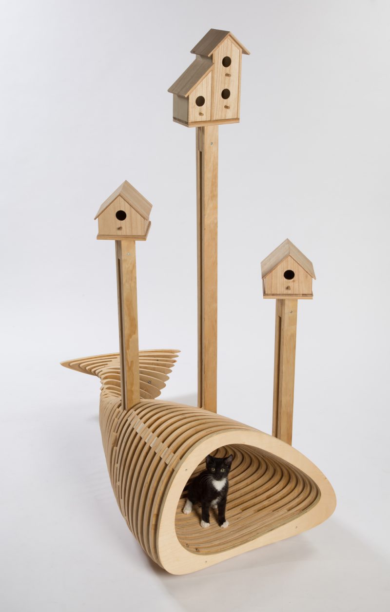 ‘Guiving Shelter’ de Architects for Animals. CAnT WE ALL GET ALONG, de HKS. Fotografía: Meghan Bob.