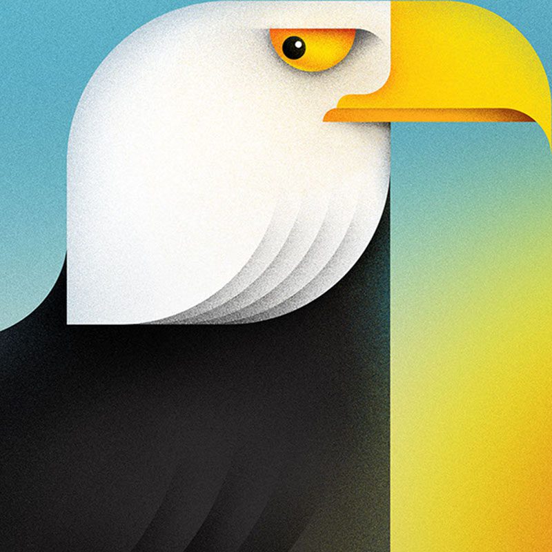 Animals, fauna ilustrada en el proyecto del estudio serbio Braca Burazeri
