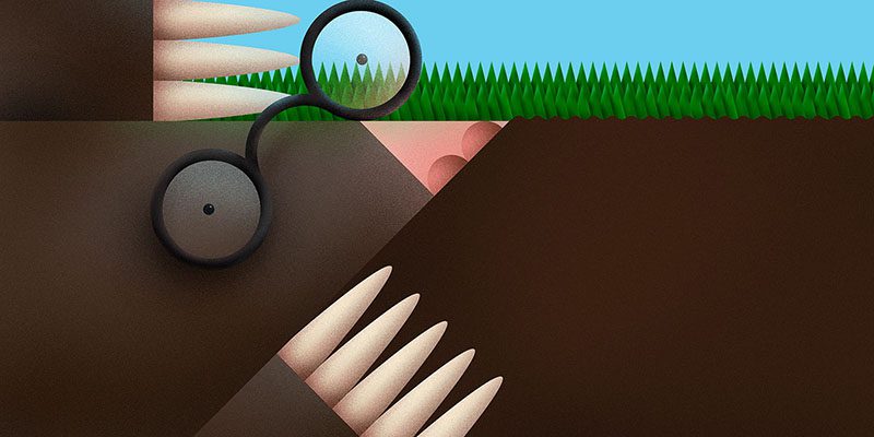 Animals, fauna ilustrada en el proyecto del estudio serbio Braca Burazeri