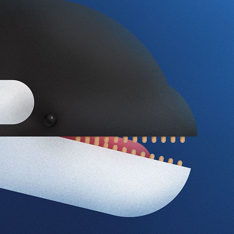 Animals, fauna ilustrada en el proyecto del estudio serbio Braca Burazeri
