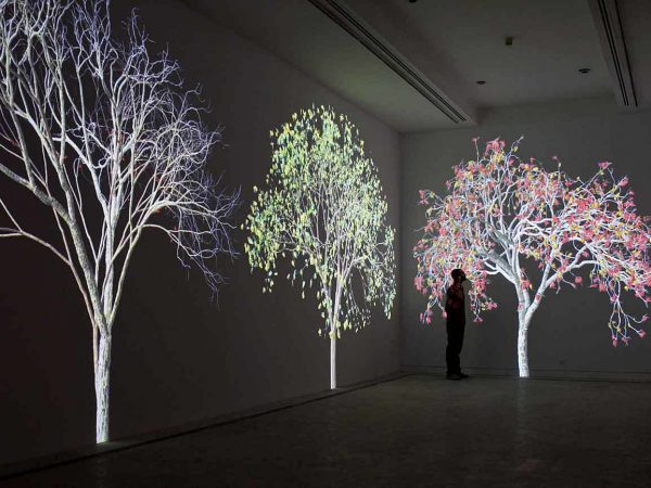“Naturaleza digital” transformación del espacio arquitectónico a través de animaciones digitales, por Jennifer Steinkamp.