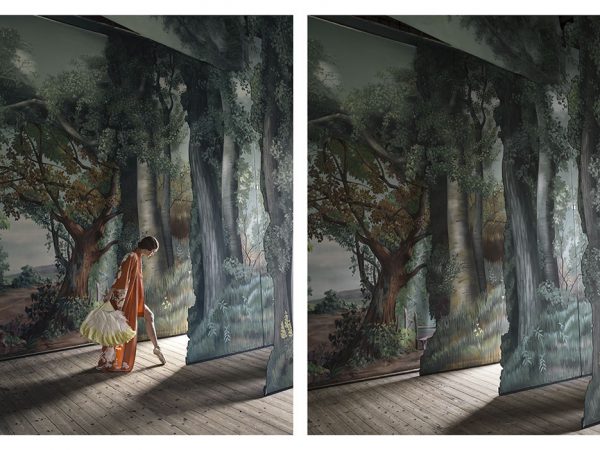 The woman who never existed, serie fotográfica de Anja Niemi