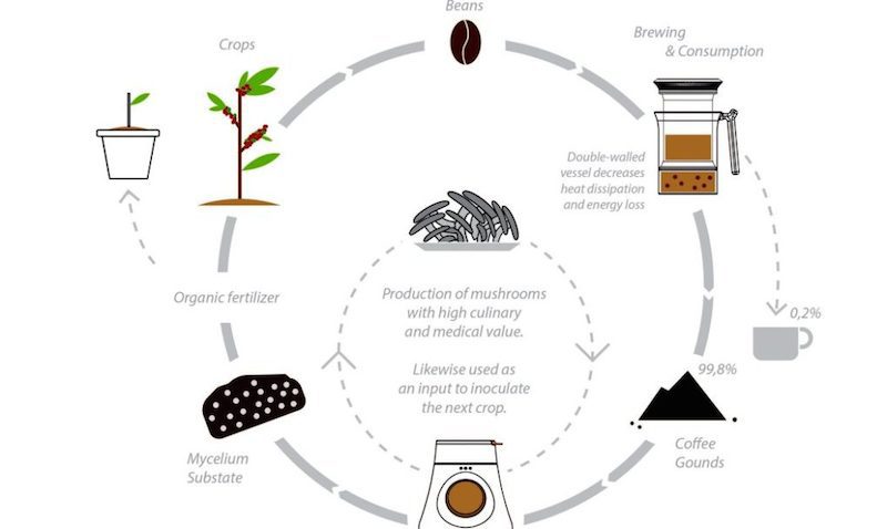 Hifa, una cafetera para el cultivo de setas