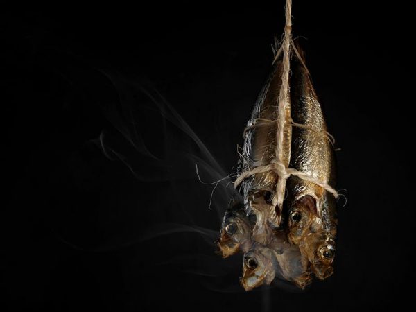 Robert Peek, imágenes que transmiten sabores