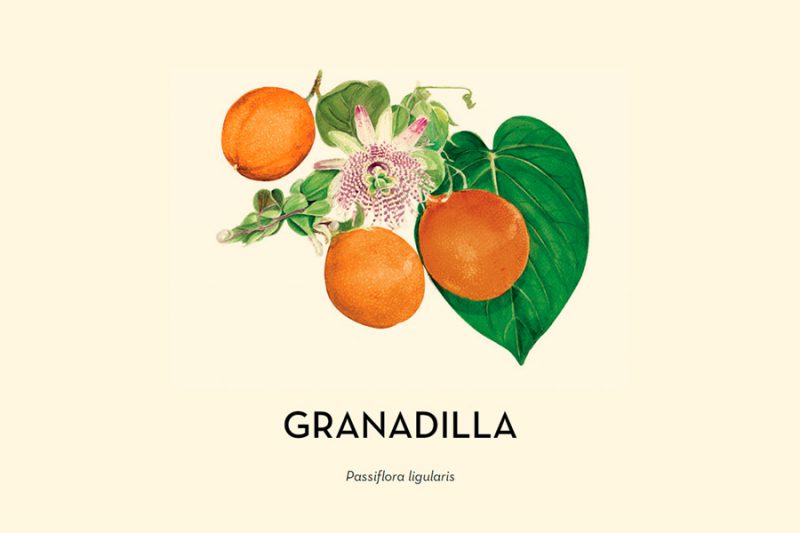 Una pajita para la granadilla, de Joan Rojesky Studio