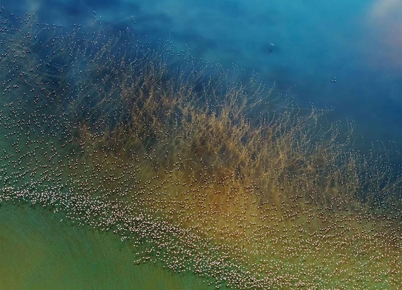 Las fotografías de viaje ganadoras del concurso National Geographic 2018