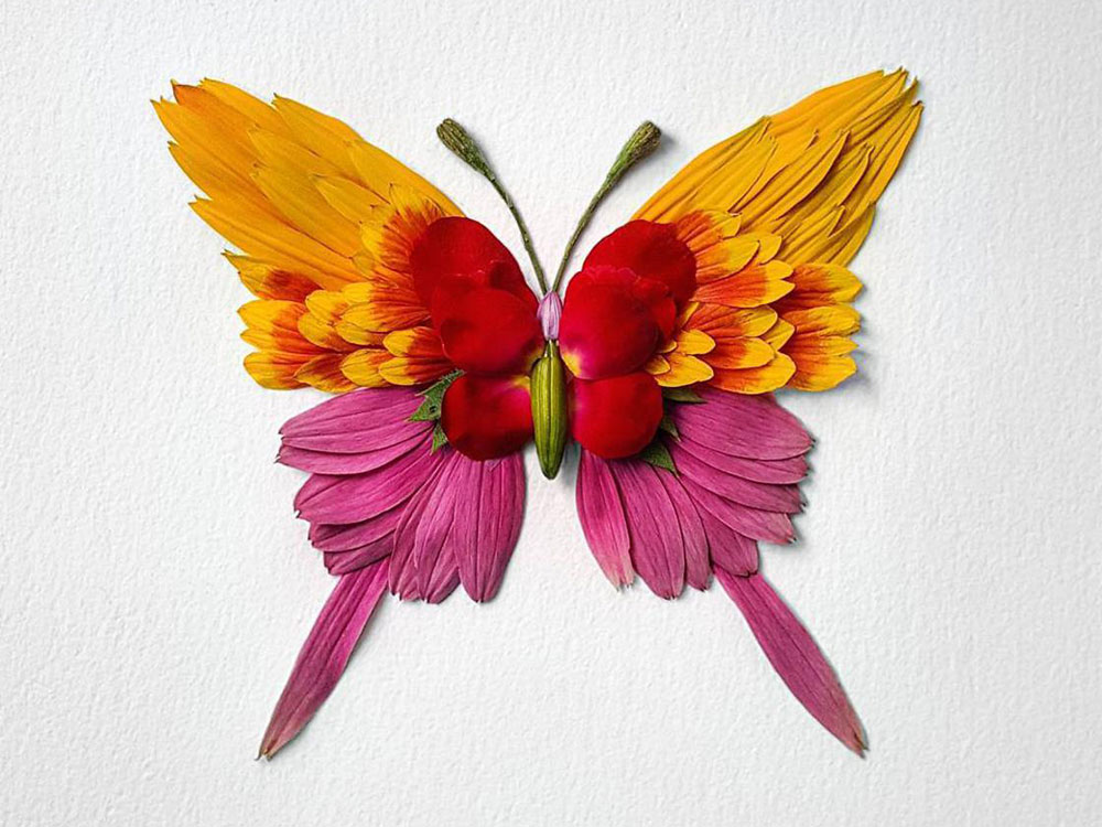 Natura Insects, los insectos florales de Raku Inoue