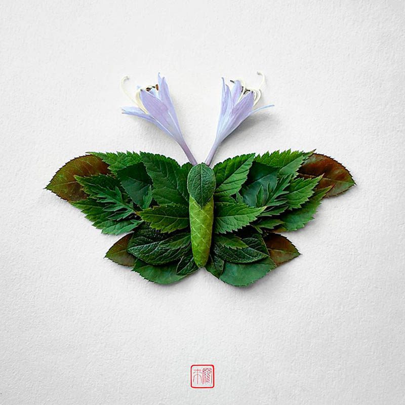 Natura Insects, los insectos florales de Raku Inoue