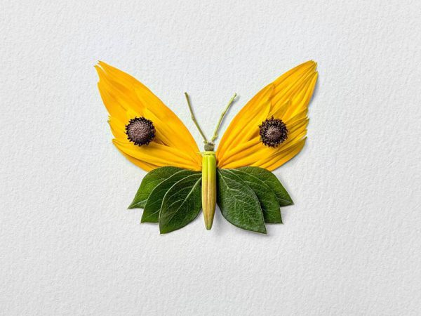 Natura Insects, los insectos florales de Raku Inoue