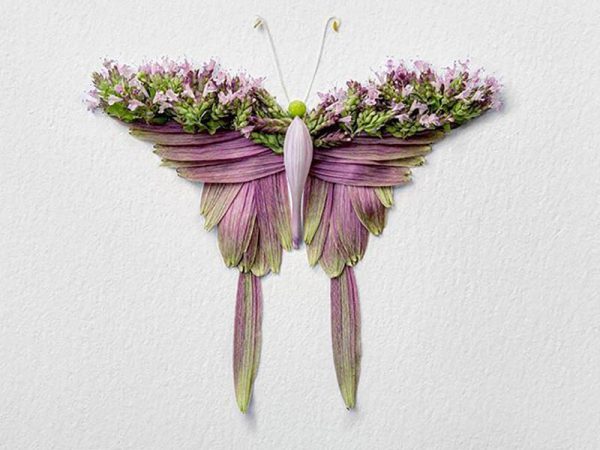 Natura Insects, los insectos florales de Raku Inoue