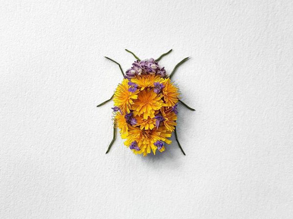 Natura Insects, los insectos florales de Raku Inoue