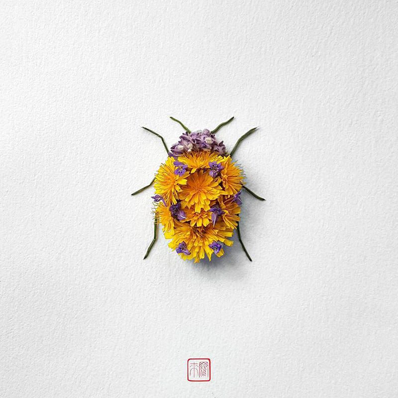 Natura Insects, los insectos florales de Raku Inoue