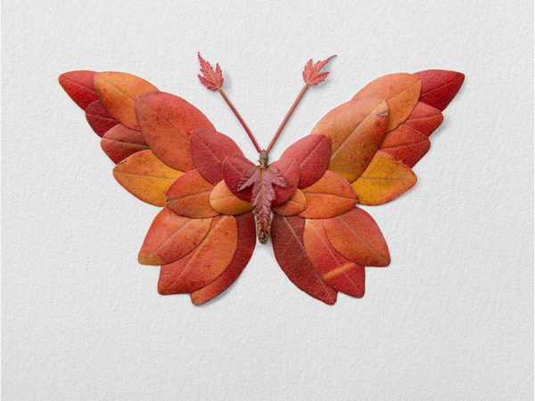 Natura Insects, los insectos florales de Raku Inoue