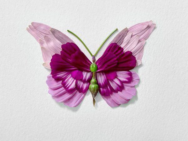 Natura Insects, los insectos florales de Raku Inoue