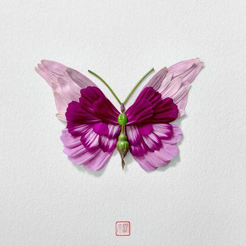 Natura Insects, los insectos florales de Raku Inoue