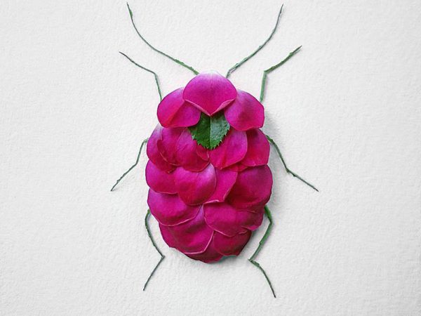 Natura Insects, los insectos florales de Raku Inoue
