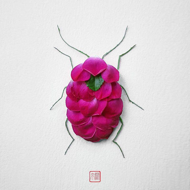 Natura Insects, los insectos florales de Raku Inoue