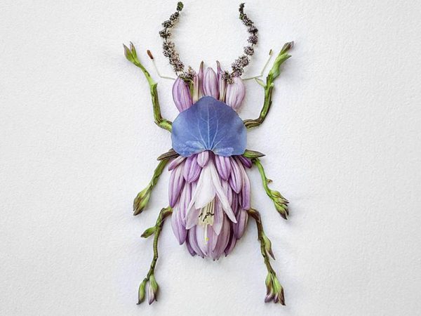 Natura Insects, los insectos florales de Raku Inoue