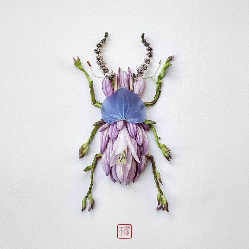 Natura Insects, los insectos florales de Raku Inoue