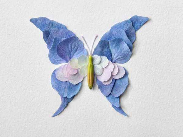 Natura Insects, los insectos florales de Raku Inoue