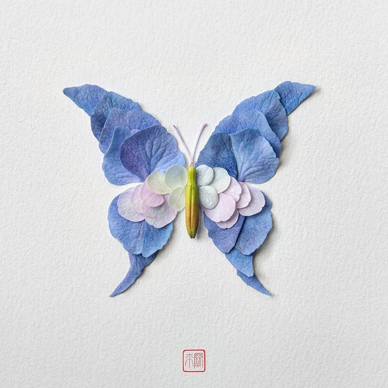 Natura Insects, los insectos florales de Raku Inoue