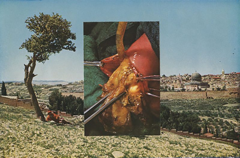El collage de Ashkan Honarvar. Surrealismo iraní, diseño holandés