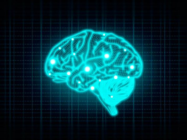 Neuralink: el proyecto de Elon Musk para conectar cerebros y computadoras