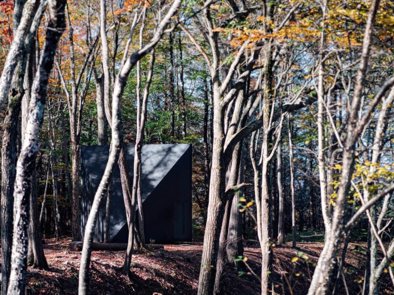 Las cabañas de alto standing de Big. Un refugio en los bosques de Nueva York