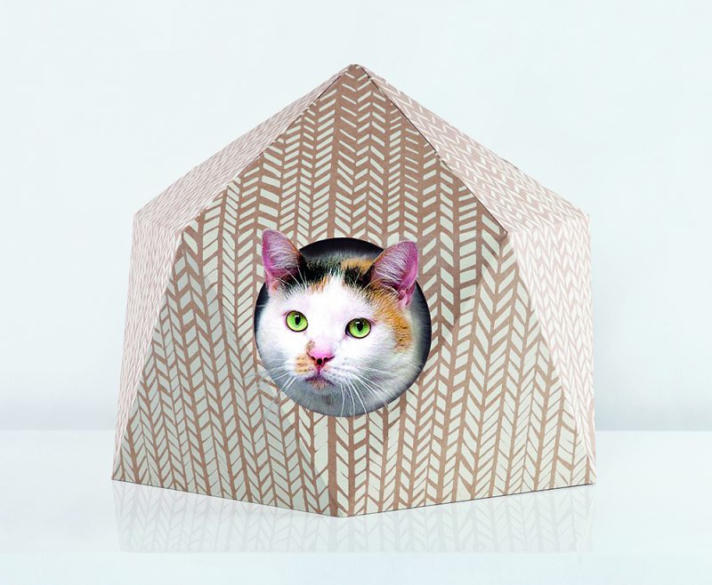 Pet-texture: Design for Pets. Una apuesta de Phaidon por el diseño animal