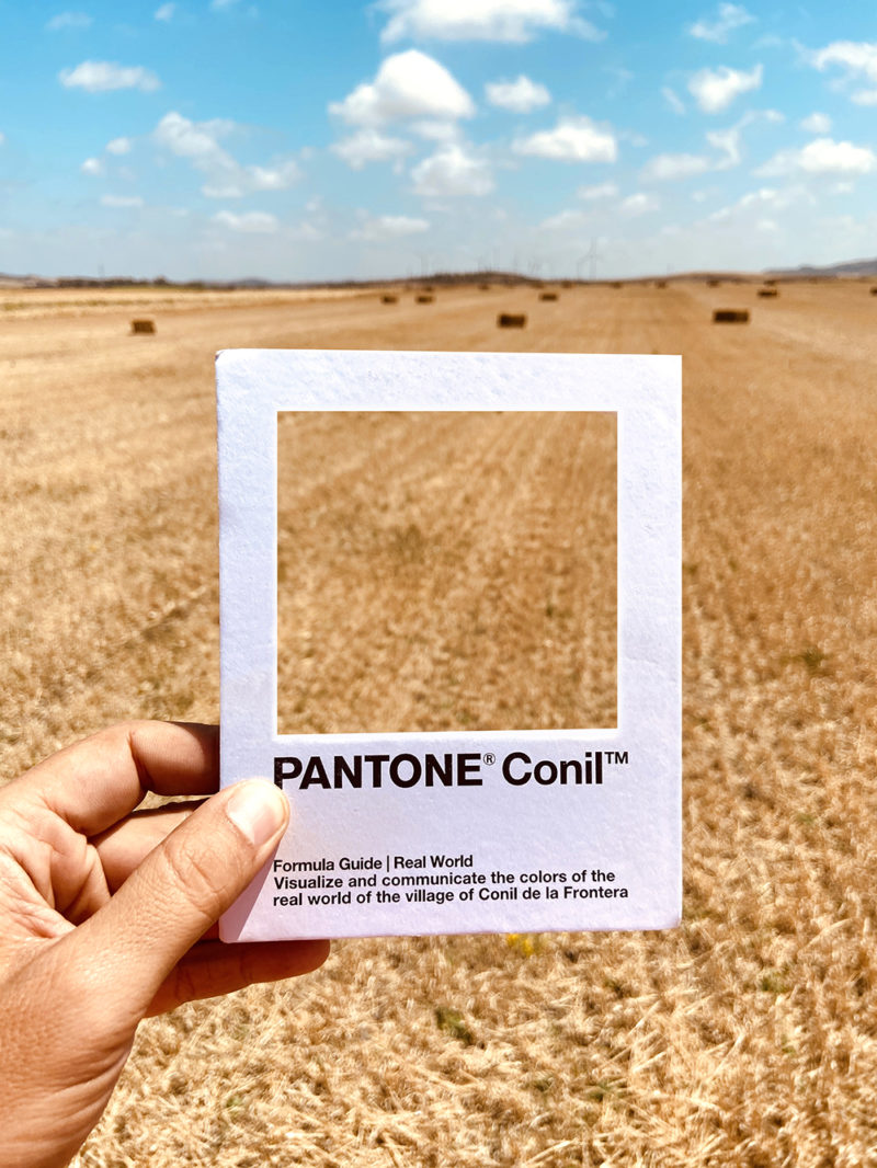 Pantone Conil, la poética pantonera de Ricardo H. Vargas