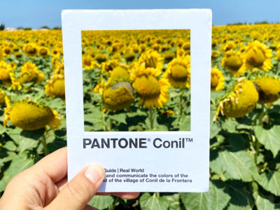 Pantone Conil, la poética pantonera de Ricardo H. Vargas