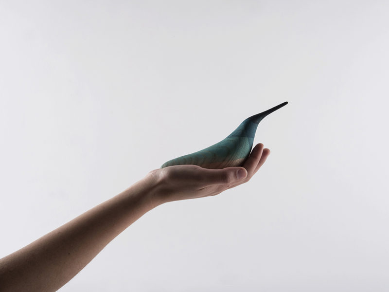 Immersed Birds, las aves de Moisés Hernández