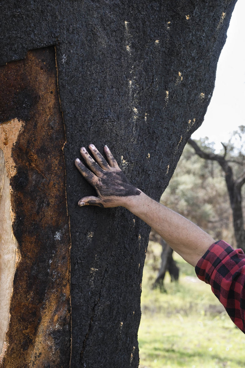 Burnt Cork, Noé Duchaufour-Lawrance, Made in Situ