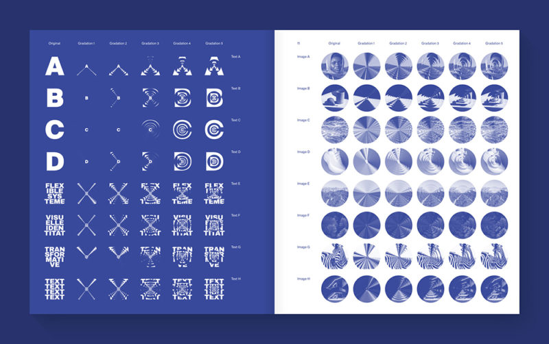 Flexible Visual Systems, la guía definitiva sobre los sistemas visuales flexibles