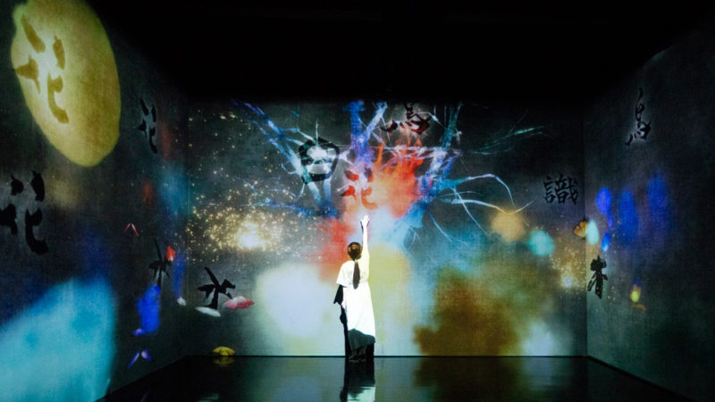 Teamlab. Arte, tecnología y naturaleza