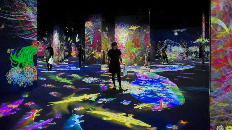 Teamlab. Arte, tecnología y naturaleza